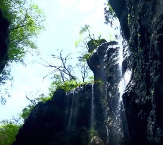 青山綠水，白龍江畔江畔息白鷺，兩岸綠橄欖入眼的都是純樸自然枝上花開(kāi)，春來(lái)水暖魚(yú)蝦戲水，鳥(niǎo)語(yǔ)花香心中充滿(mǎn)著舒暢之感祥宇生態(tài)產(chǎn)業(yè)園，位于隴南市武..